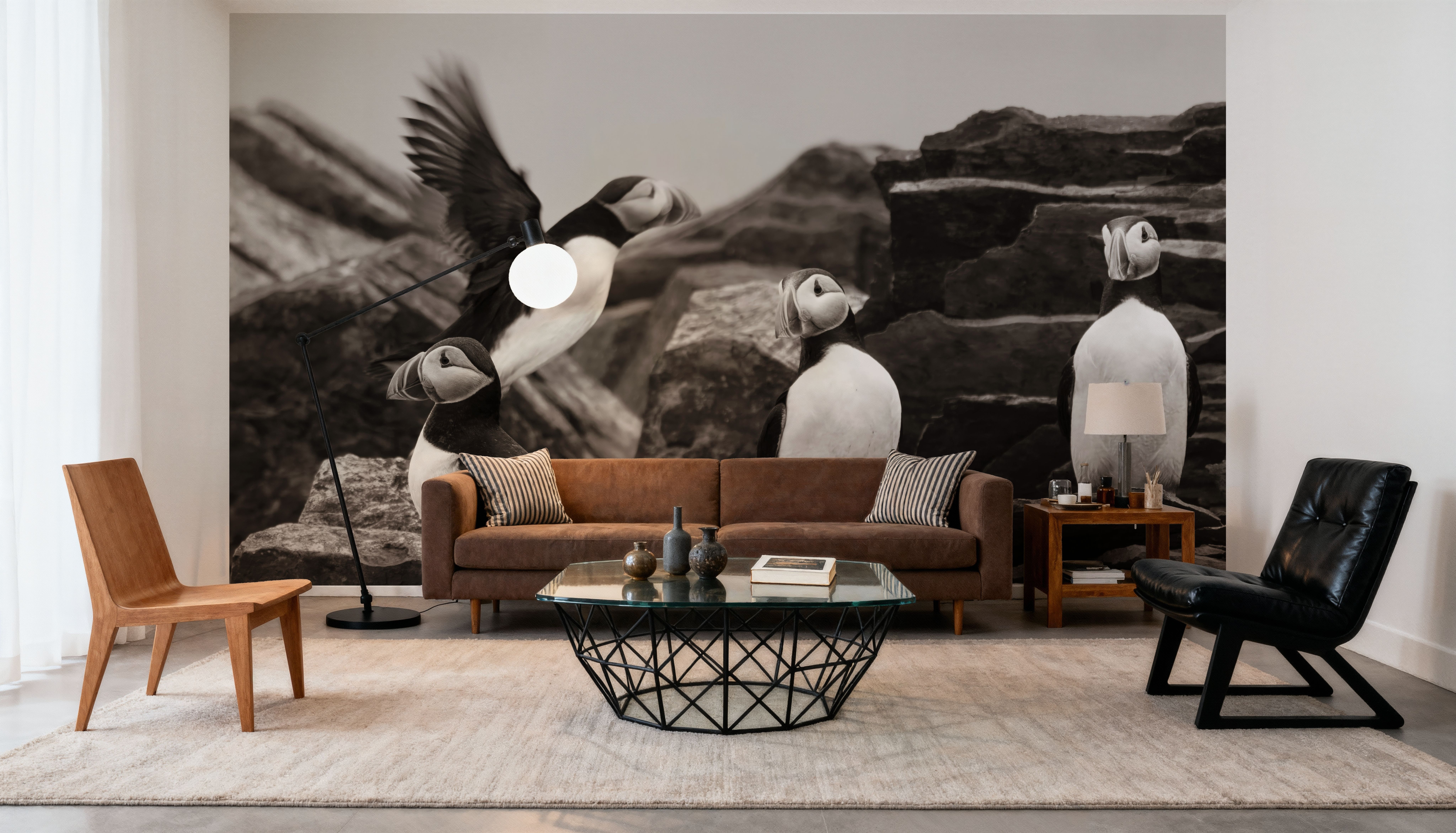 Atlantic Puffin Colony BW