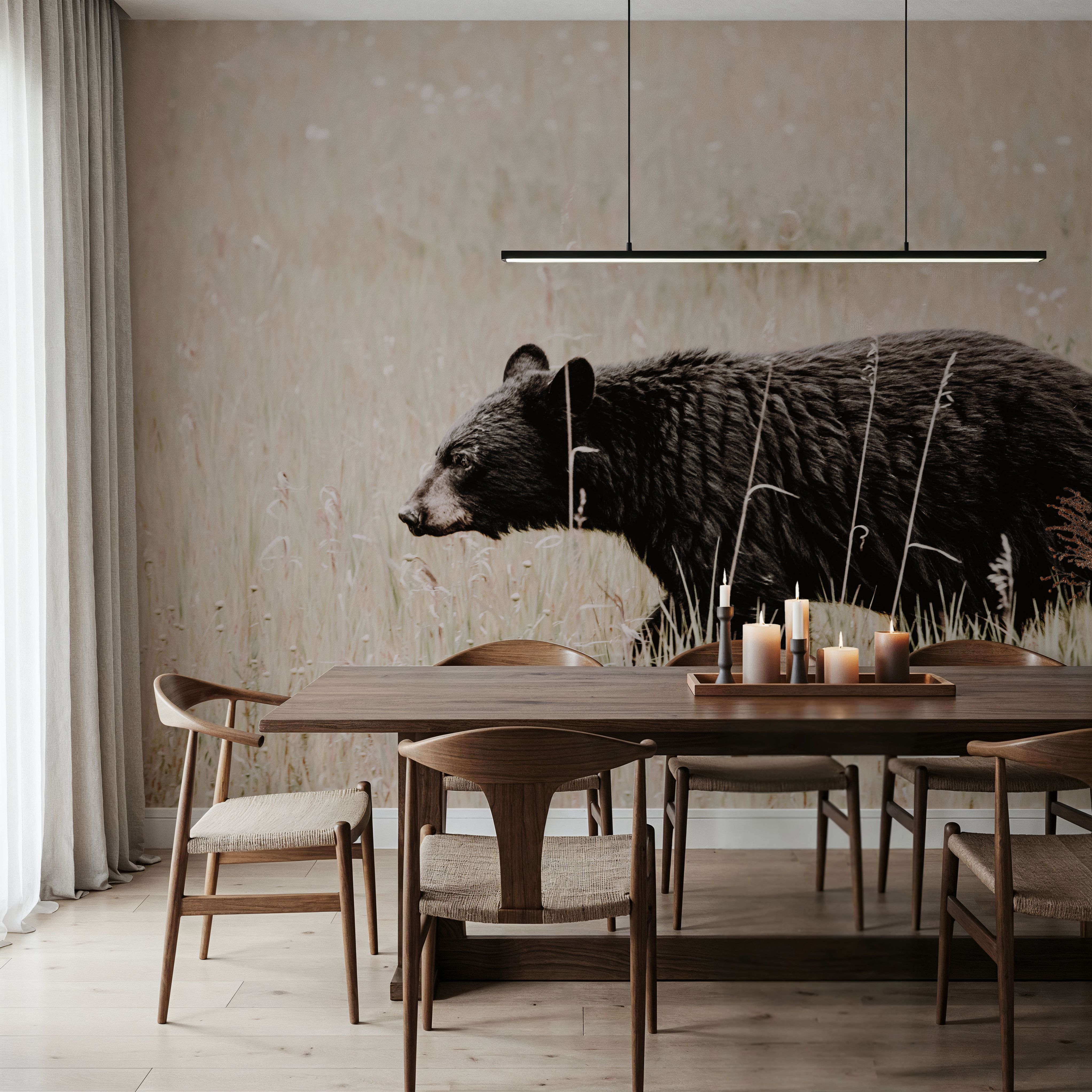 Black Bear in British Columbia