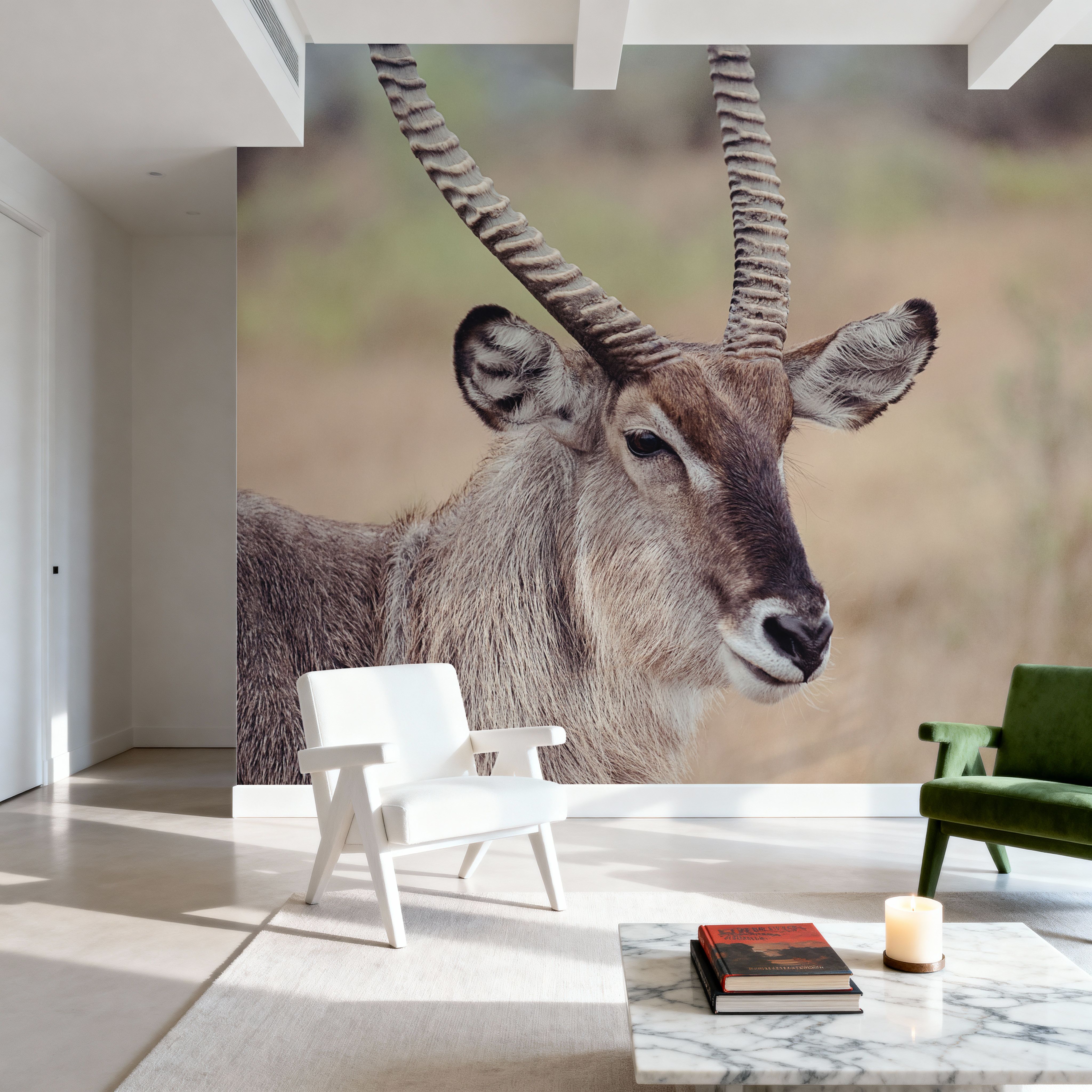 Waterbuck Portrait