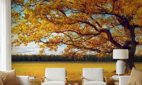 Golden Fall Tree