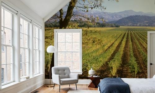 Far Niente Winery