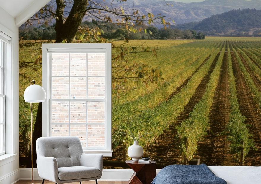 Far Niente Winery
