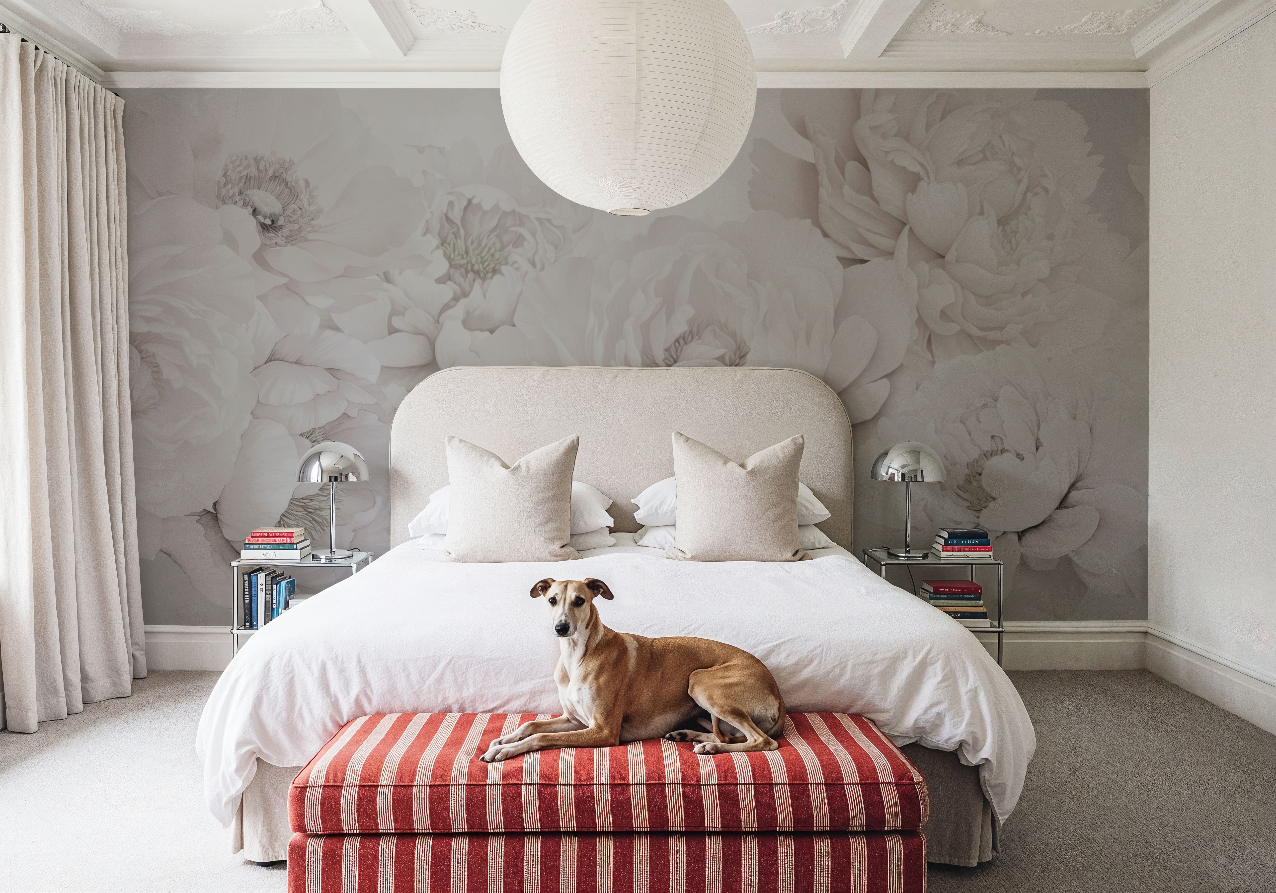 Transcendent Peony, Greyish Pink