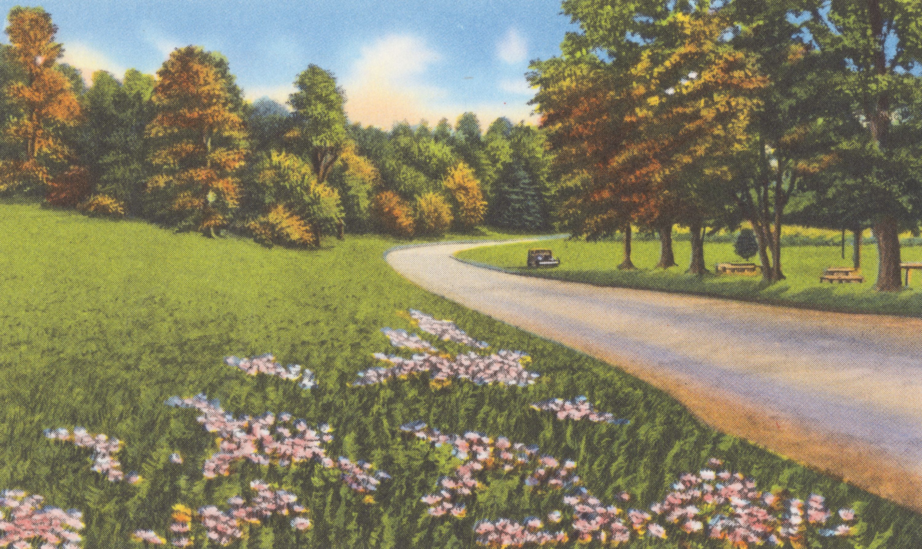 Park Views - Screenprint Postcard