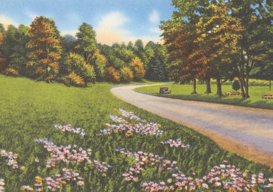 Park Views - Screenprint Postcard