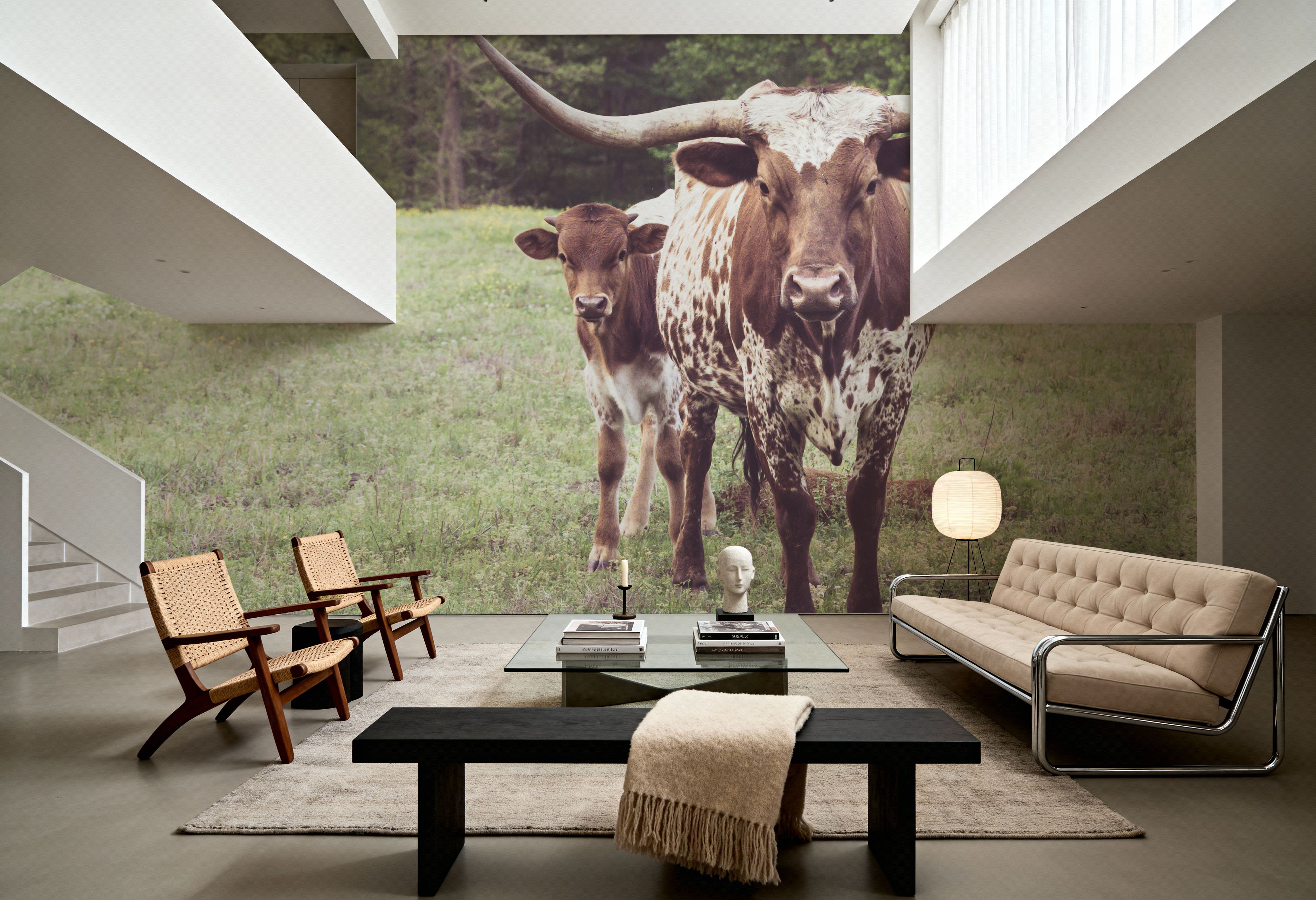 Longhorn Protection