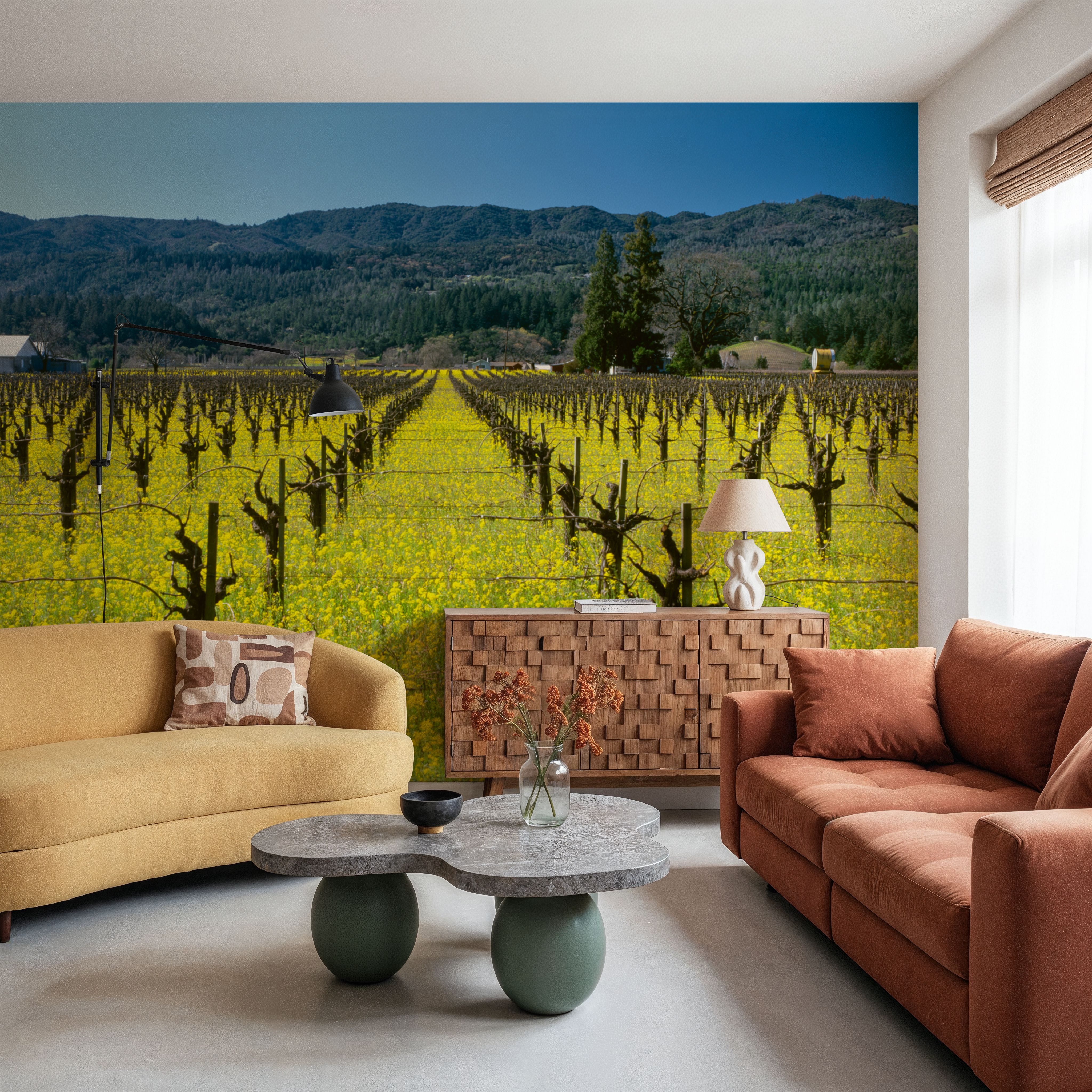 Vineyard Symmetry