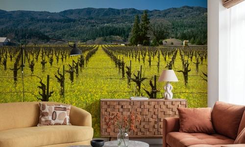 Vineyard Symmetry