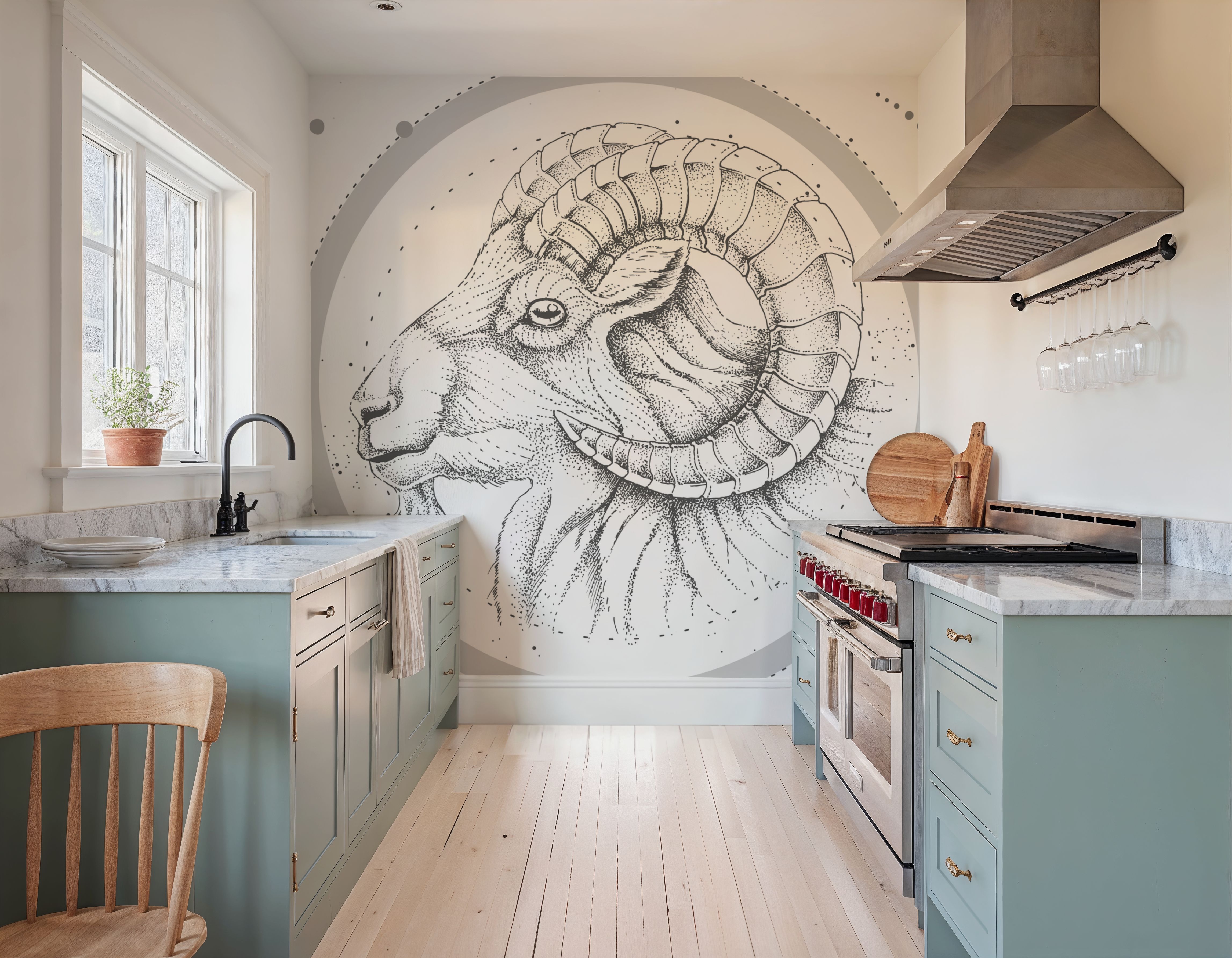 Aries Zodiac