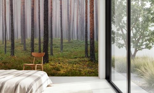Hide and Seek Forest