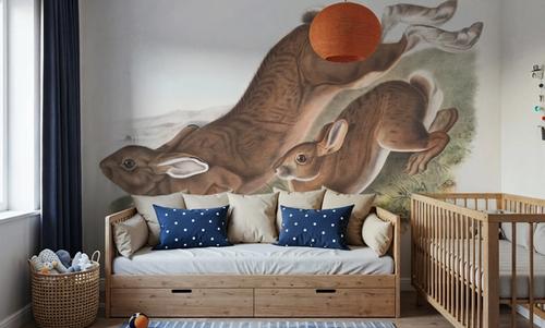 Summer Hares