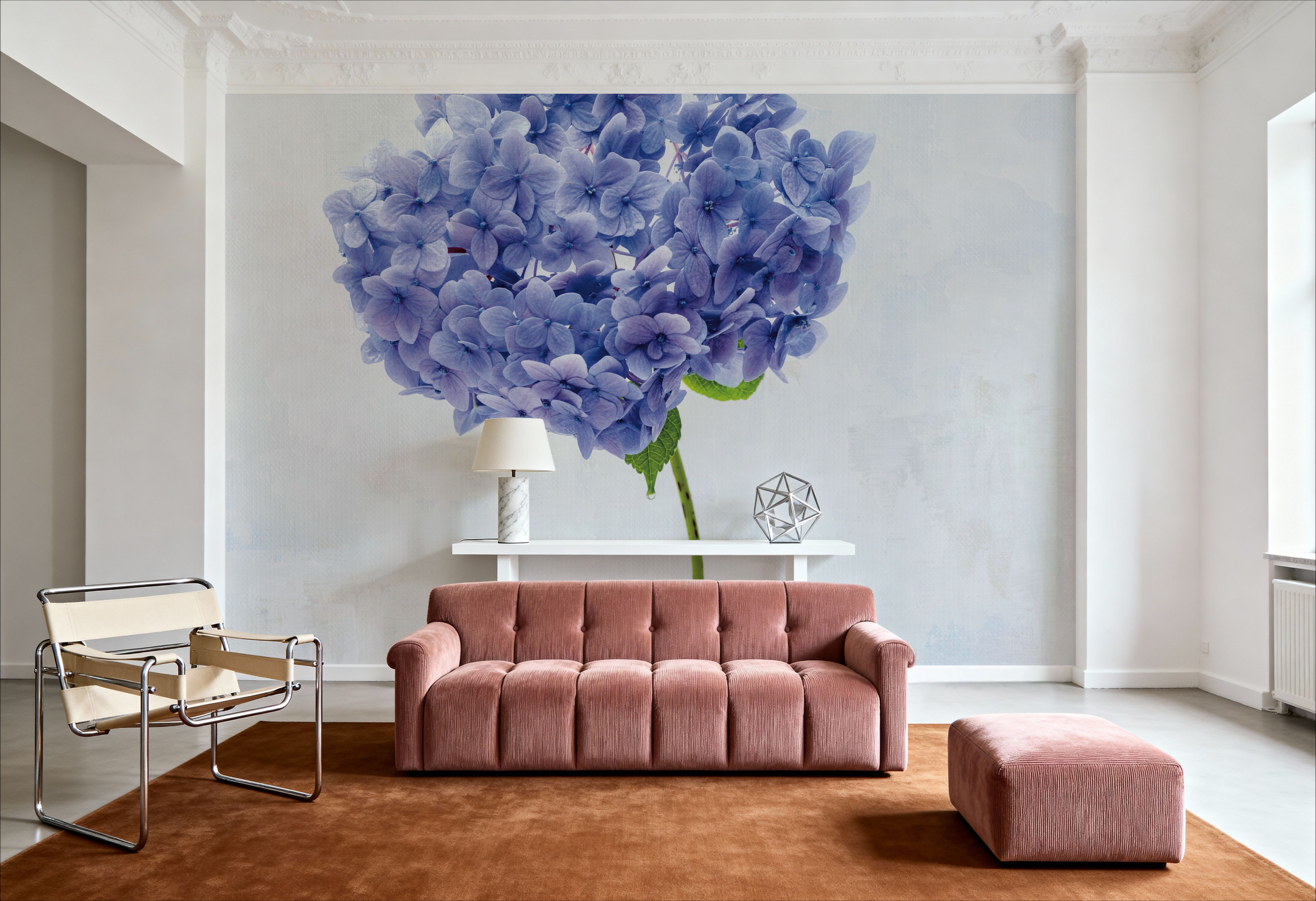 Cape Cod Hydrangea