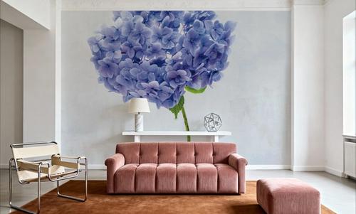 Cape Cod Hydrangea