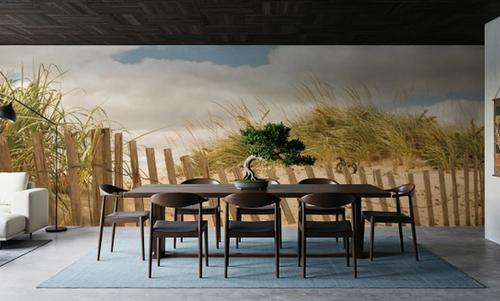 Beach Dunes I