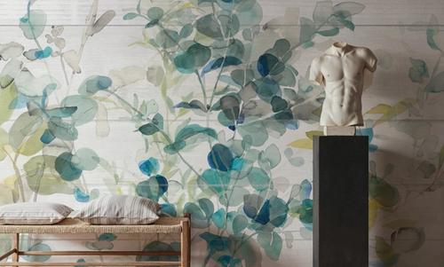 Eucalyptus I on Shiplap