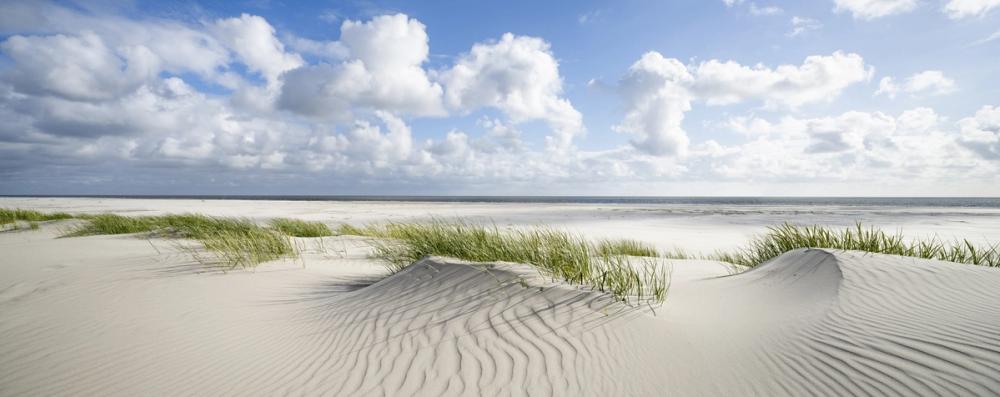 Amrum Beach