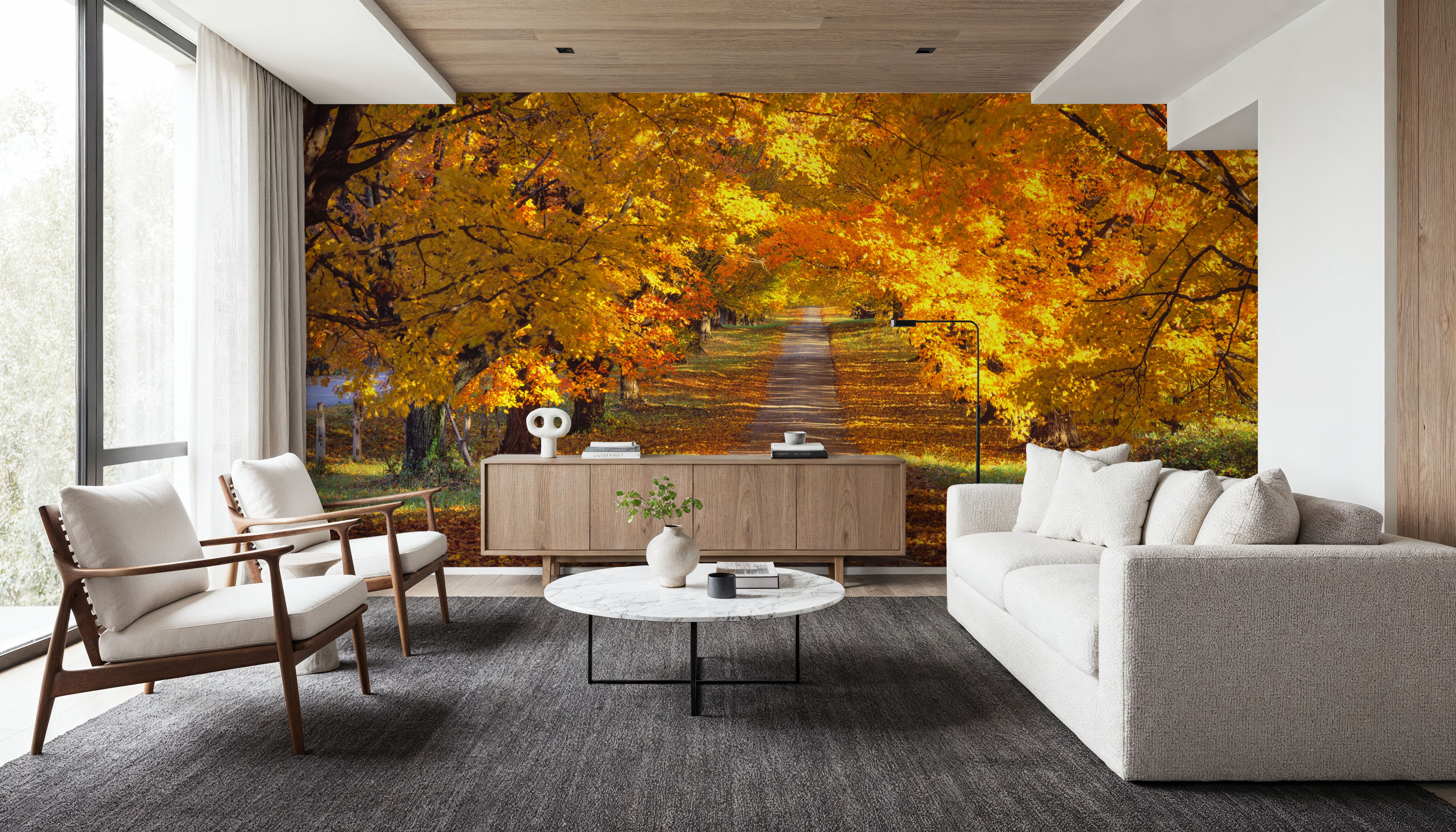 Golden Canopy Trail, Wallpaper