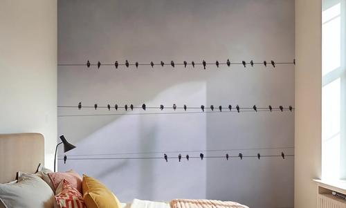 Birds in Harmony