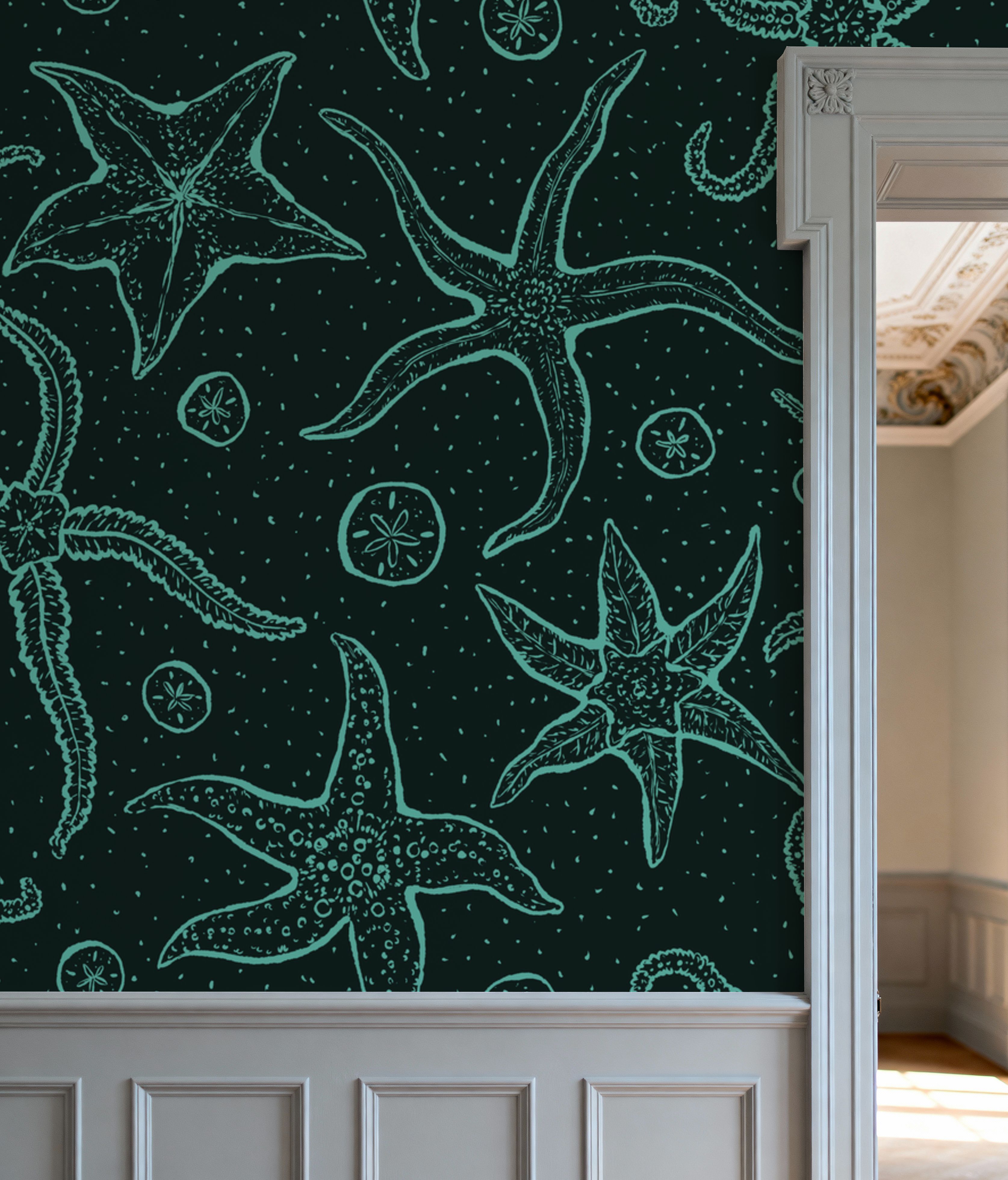 Echinoderms, Dark Blue
