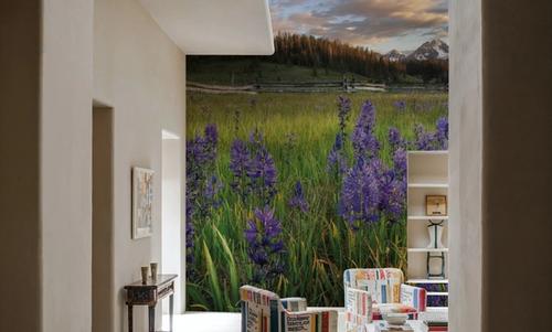 Camas Meadows in Idaho