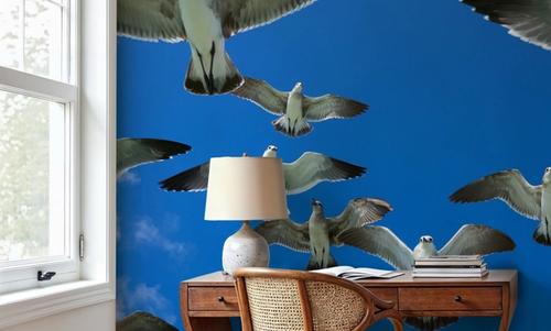 Soaring Seagulls