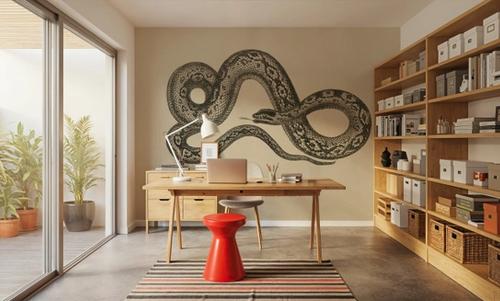 Vintage Boa Constrictor