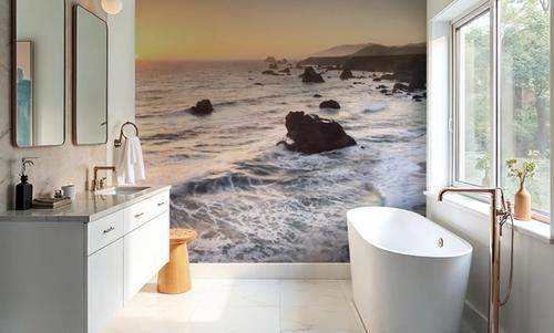 Sonoma Coast Sunset