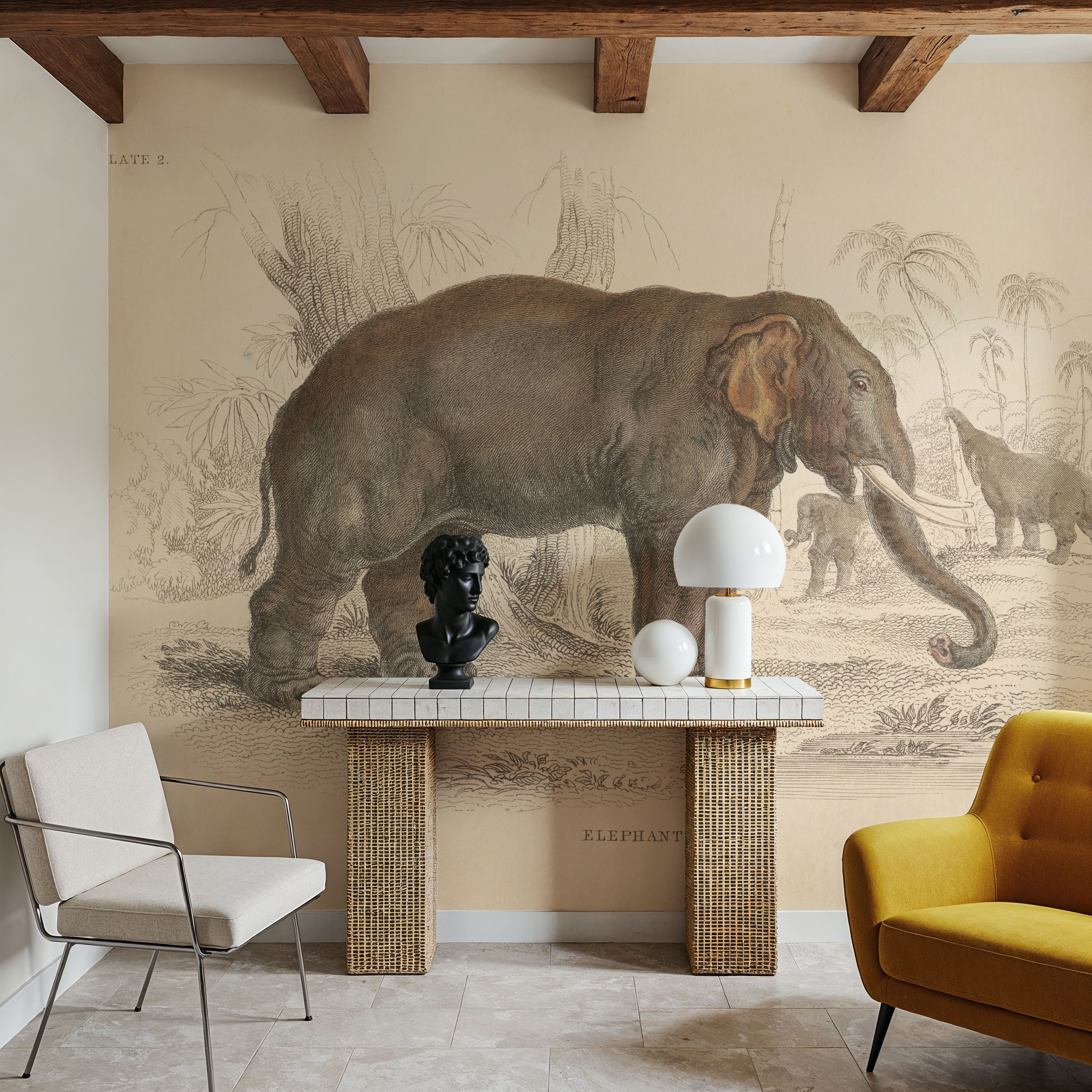Animals of Africa III