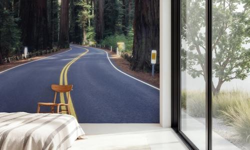 Redwood Journey