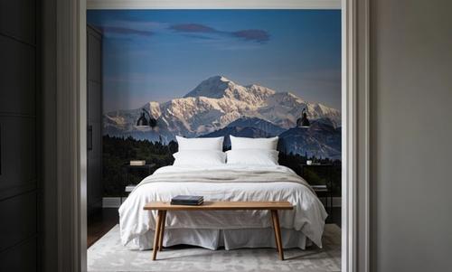 Mount Denali