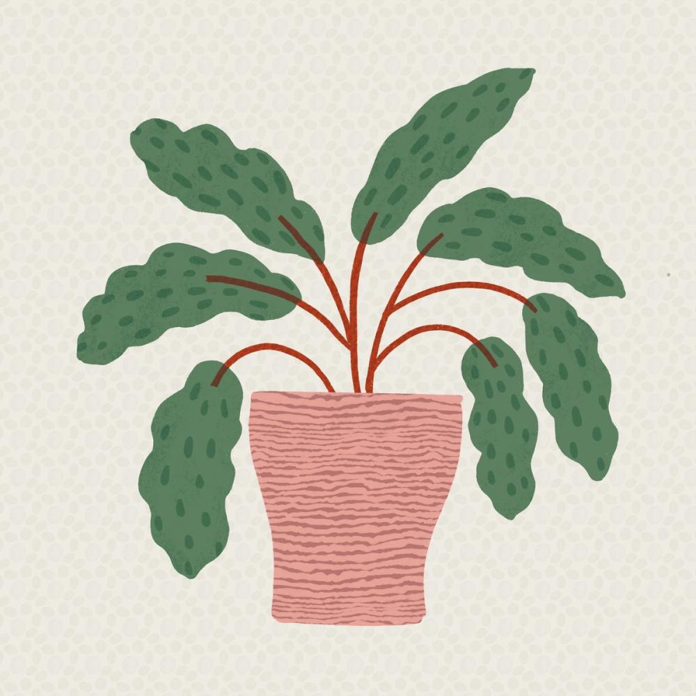 Potted Plants I