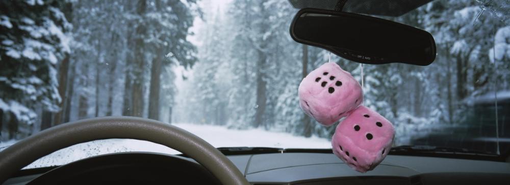 Winter Drive Dice