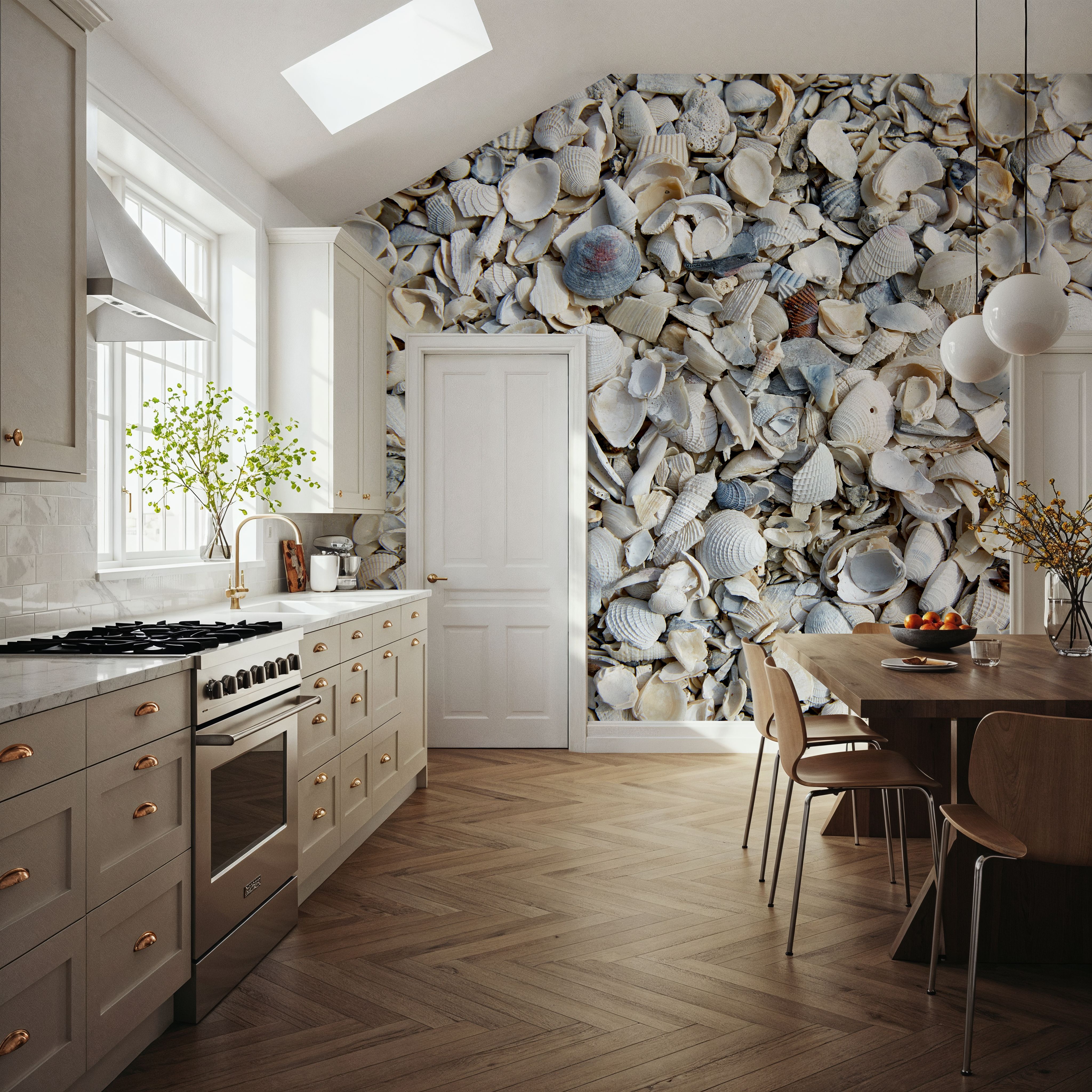 Fort Myers Sea Shells