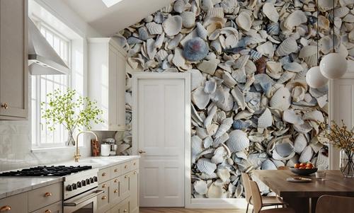 Fort Myers Sea Shells