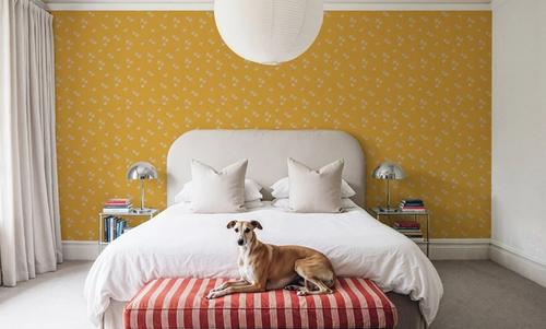 Chartaceous Yellow