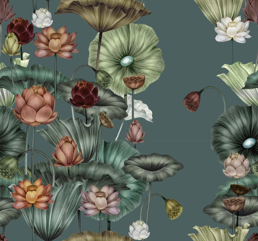 Magical Lotus, Laurel