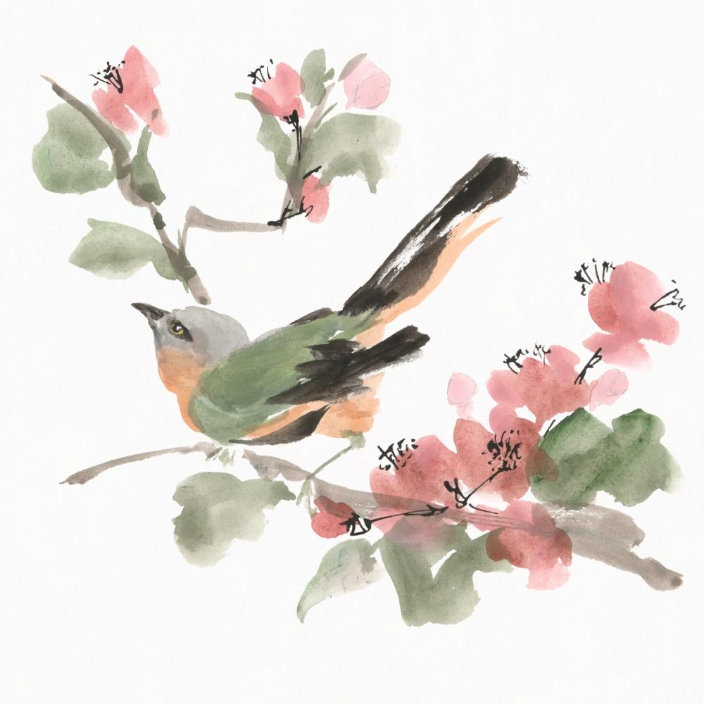 Bird and Blossoms IV