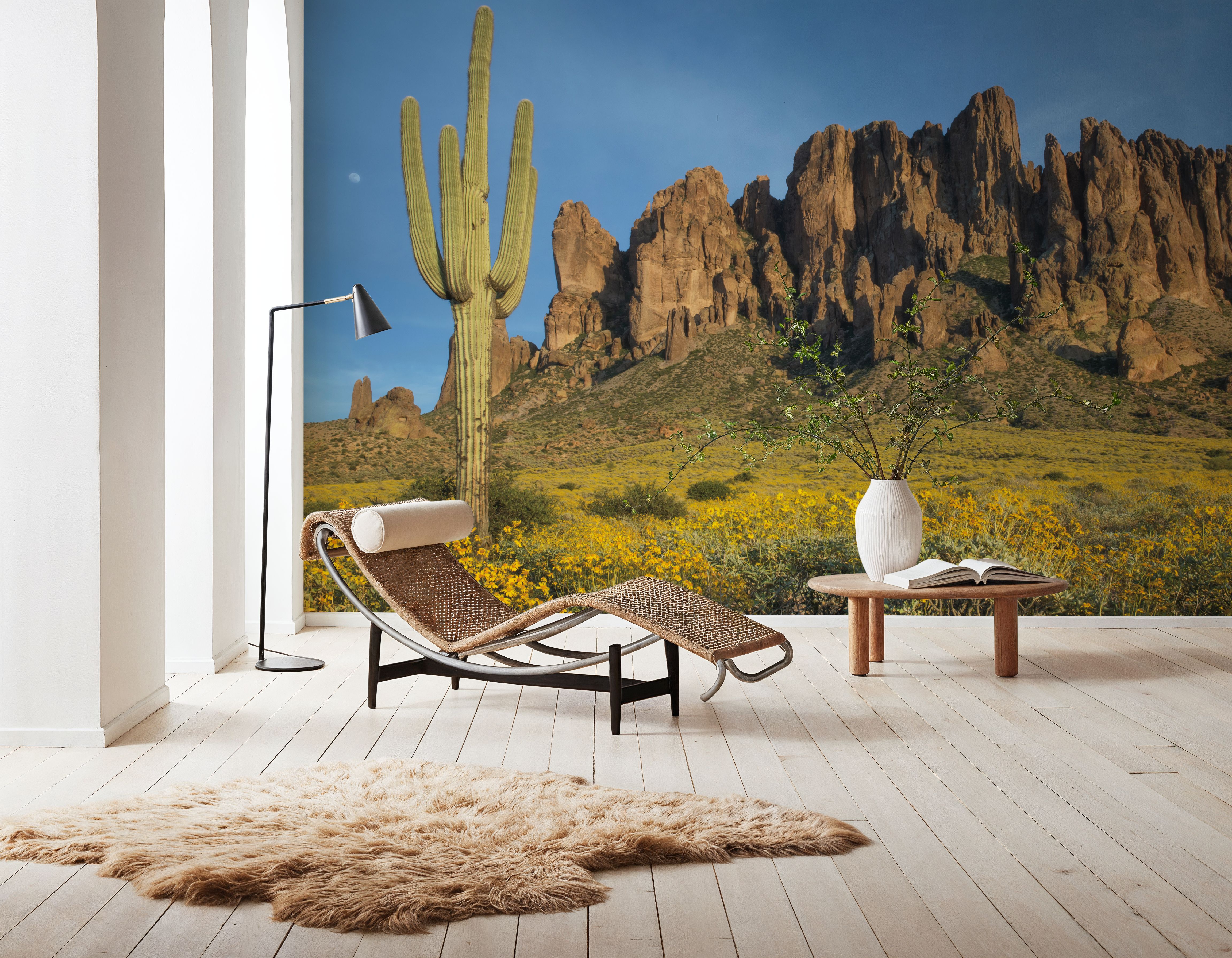 Superstition Mountains