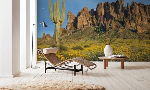 Superstition Mountains