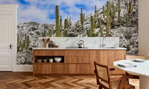 Snowy Desert Cactai