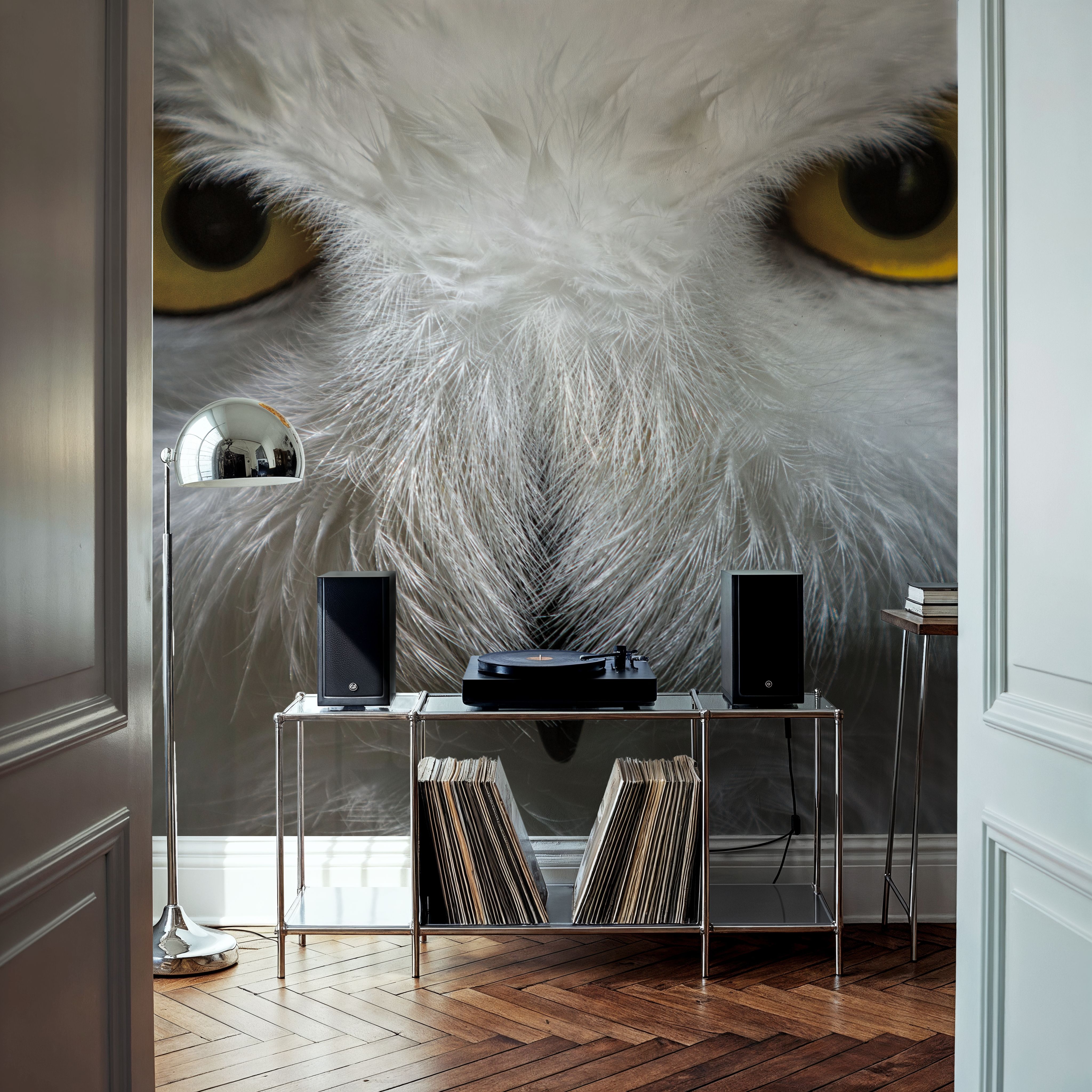 The Owl Star