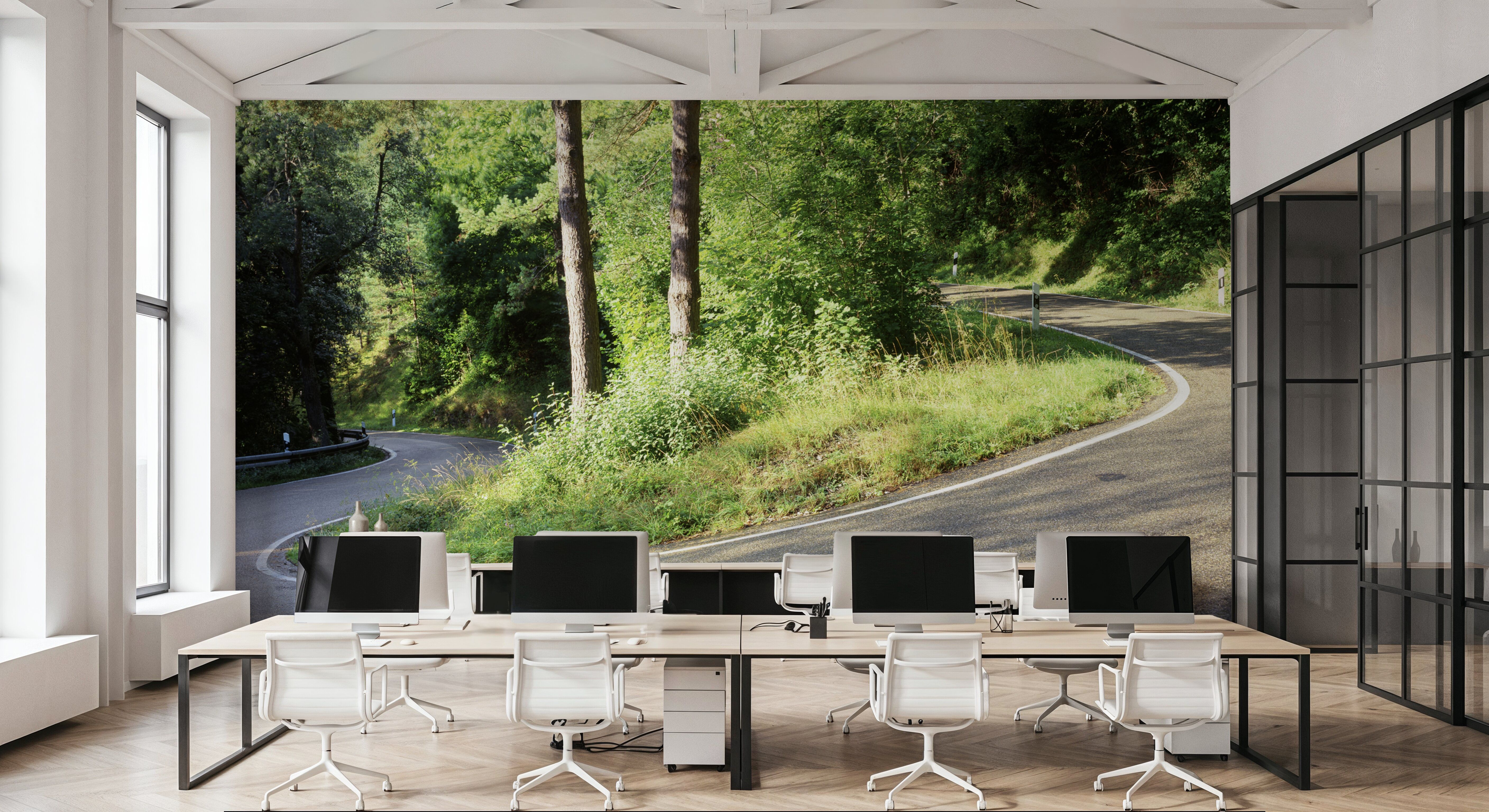 Emerald Woodland Path,