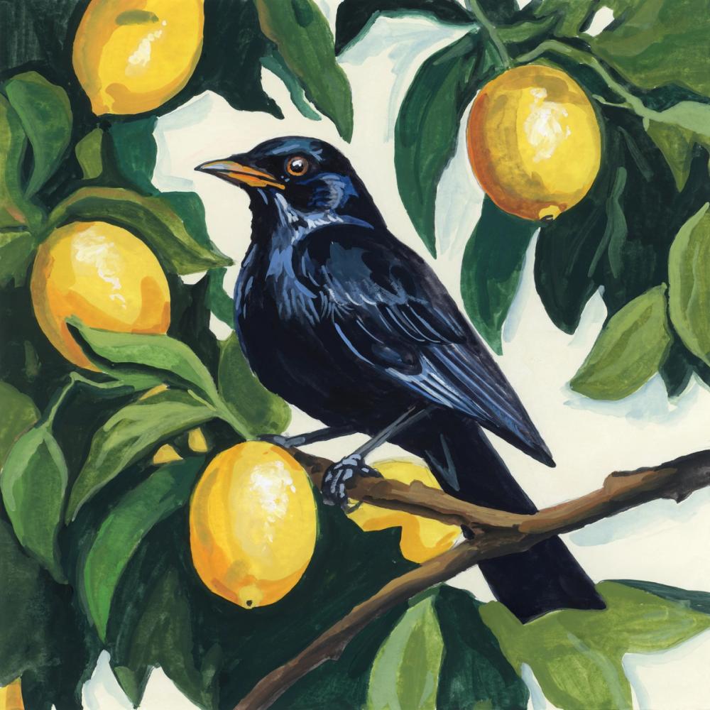 Bird with Lemon Branch
