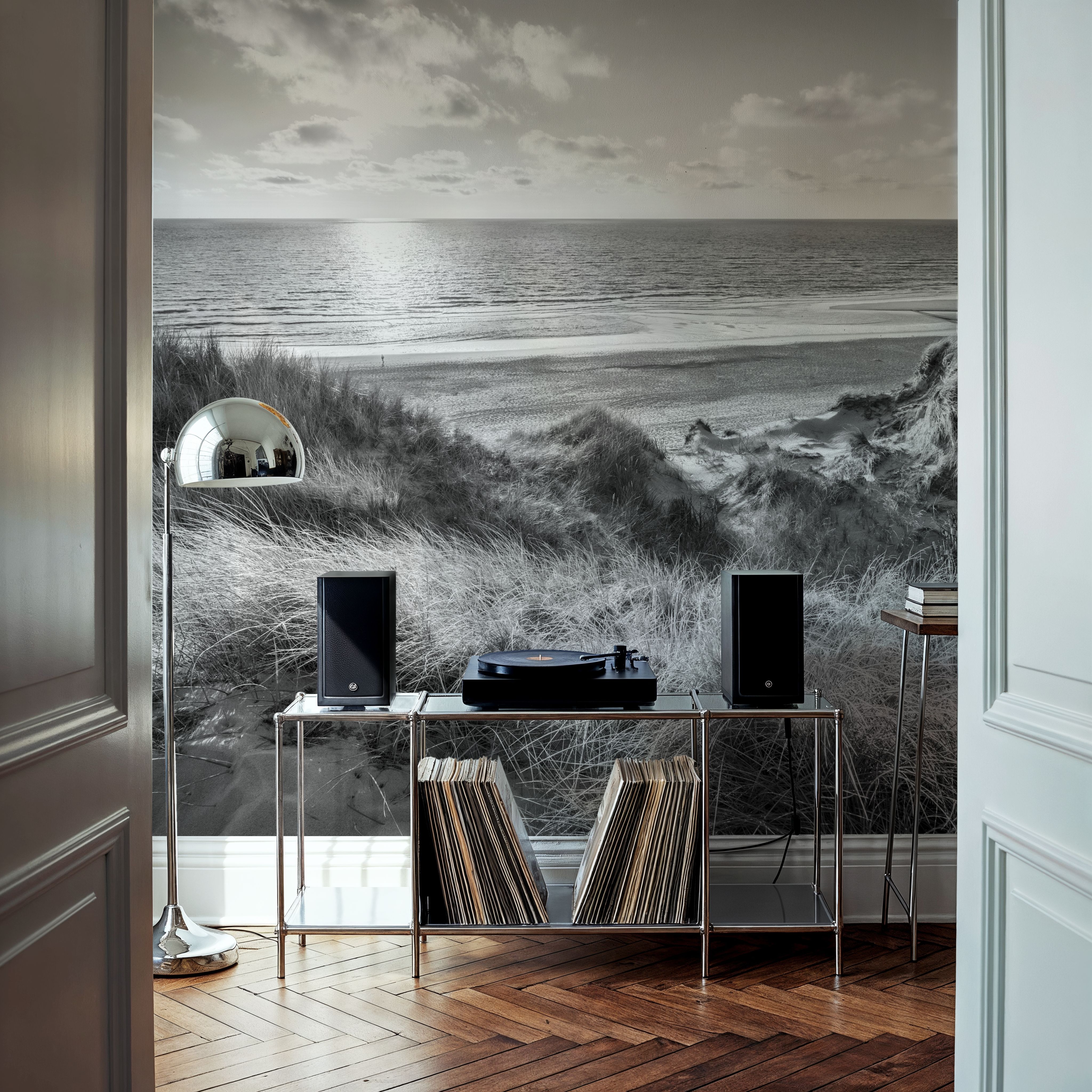 Dune Landscape, Black & White