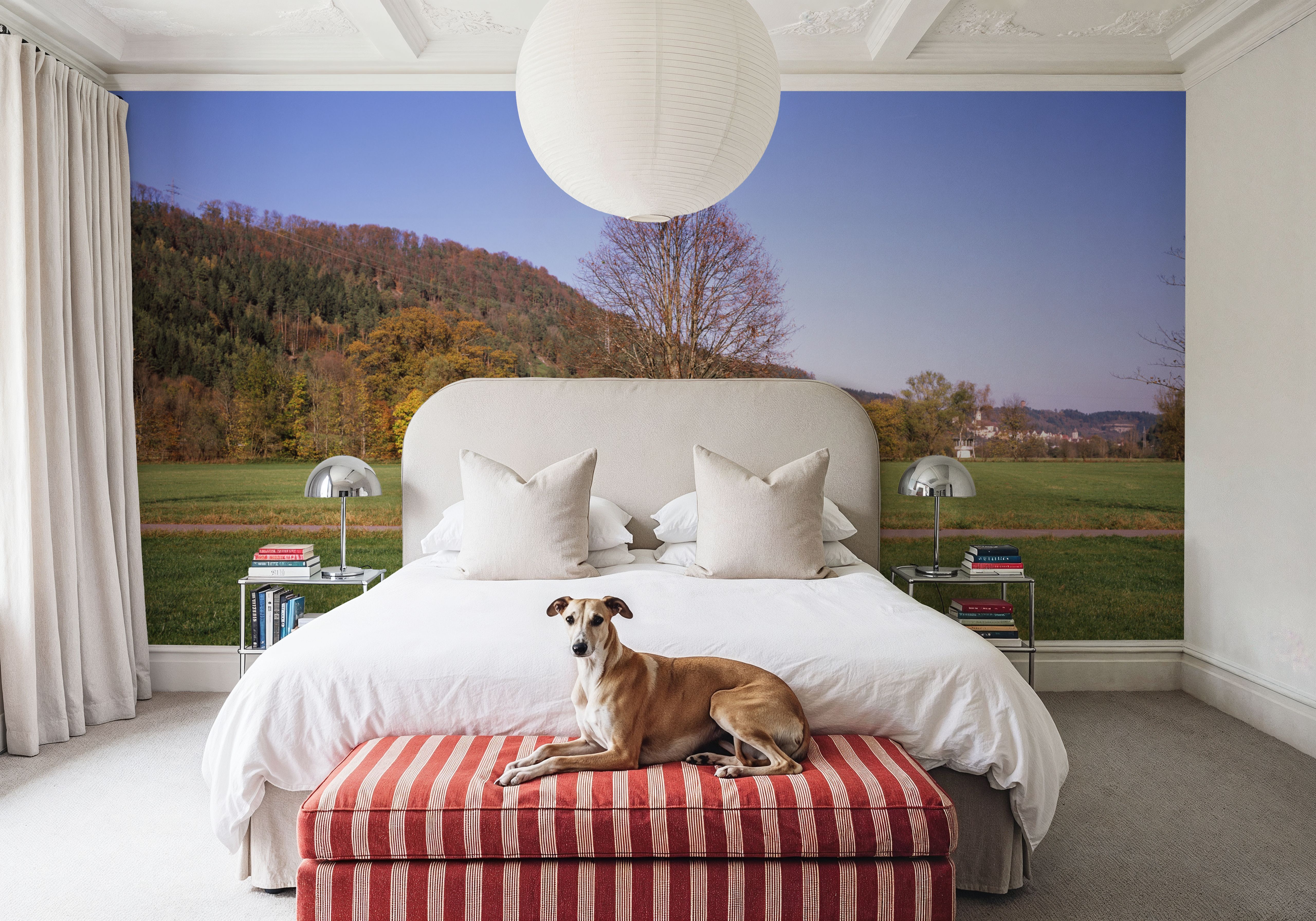 Autumn Trail Horizon