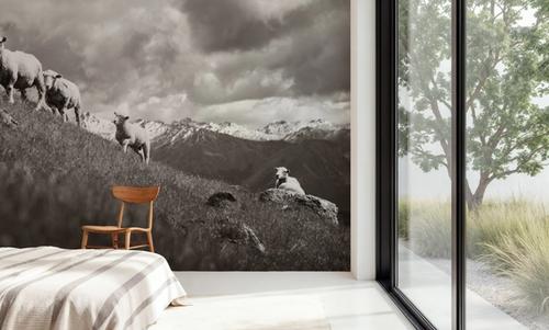 Wanaka Sheep II