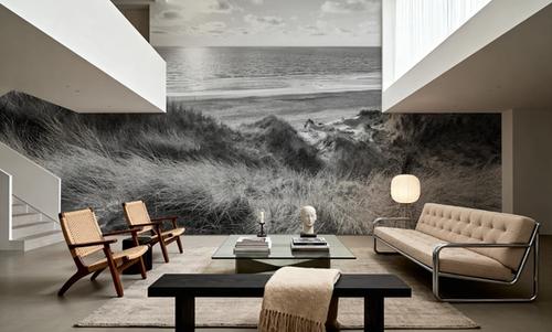 Dune Landscape, Black & White