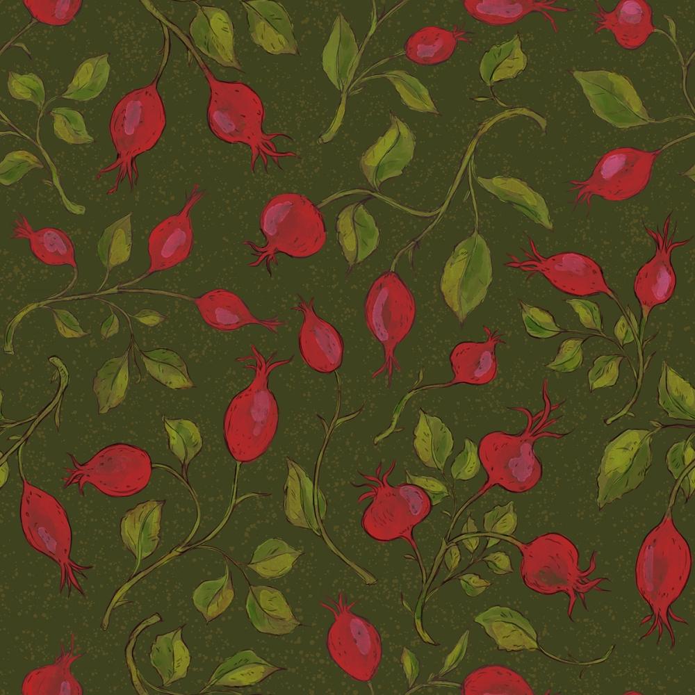 Rosehips, Coral on Olive