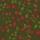 Rosehips, Coral on Olive