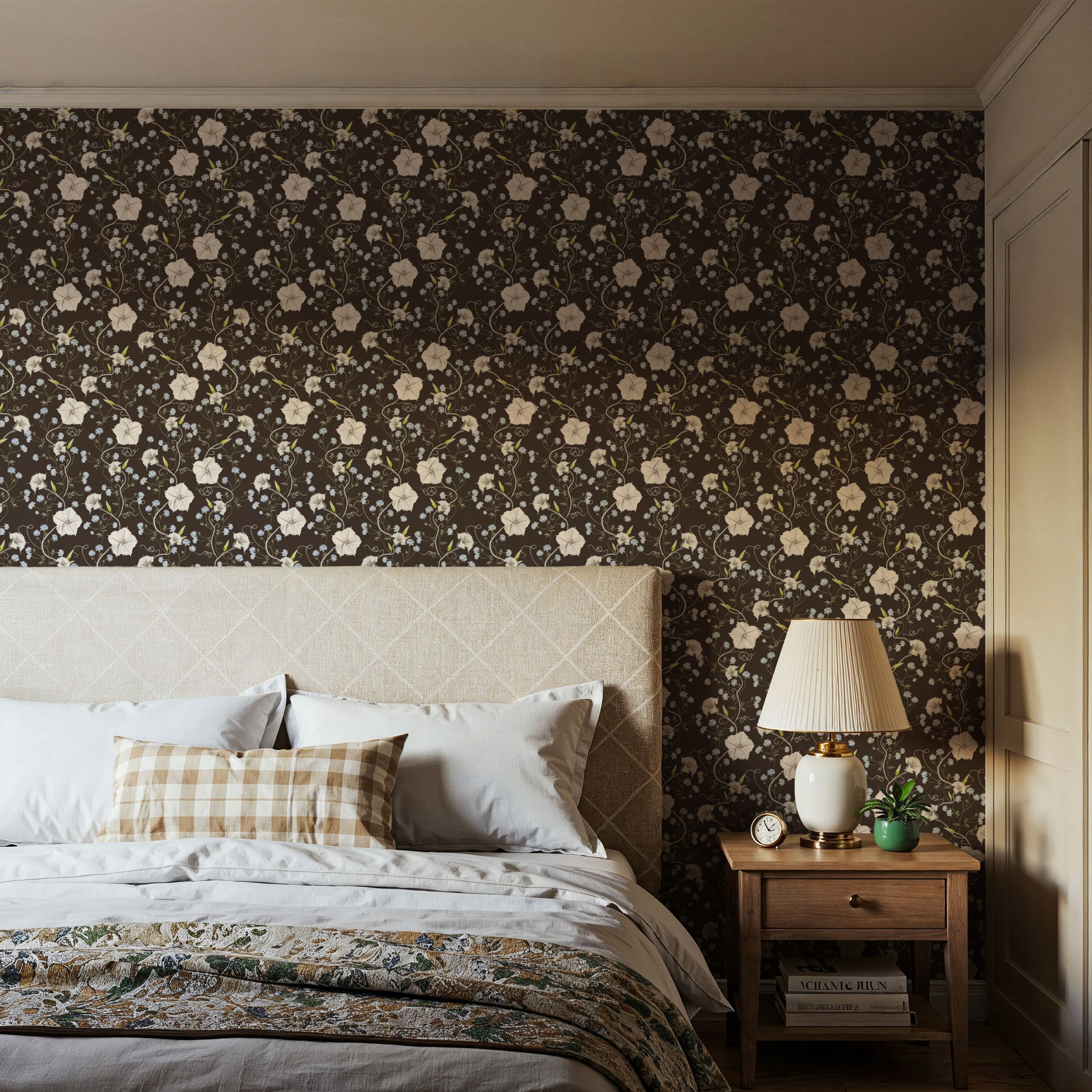 Trailing Morning Glory, Walnut